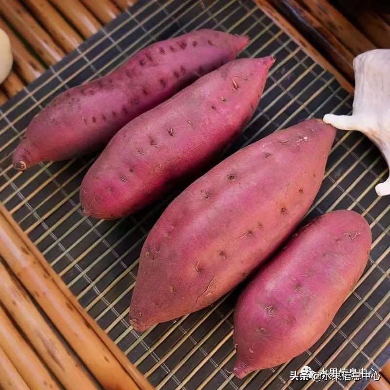 海南水果都有哪些品种图片及名称,海南水果上市时间表赶快收藏吧