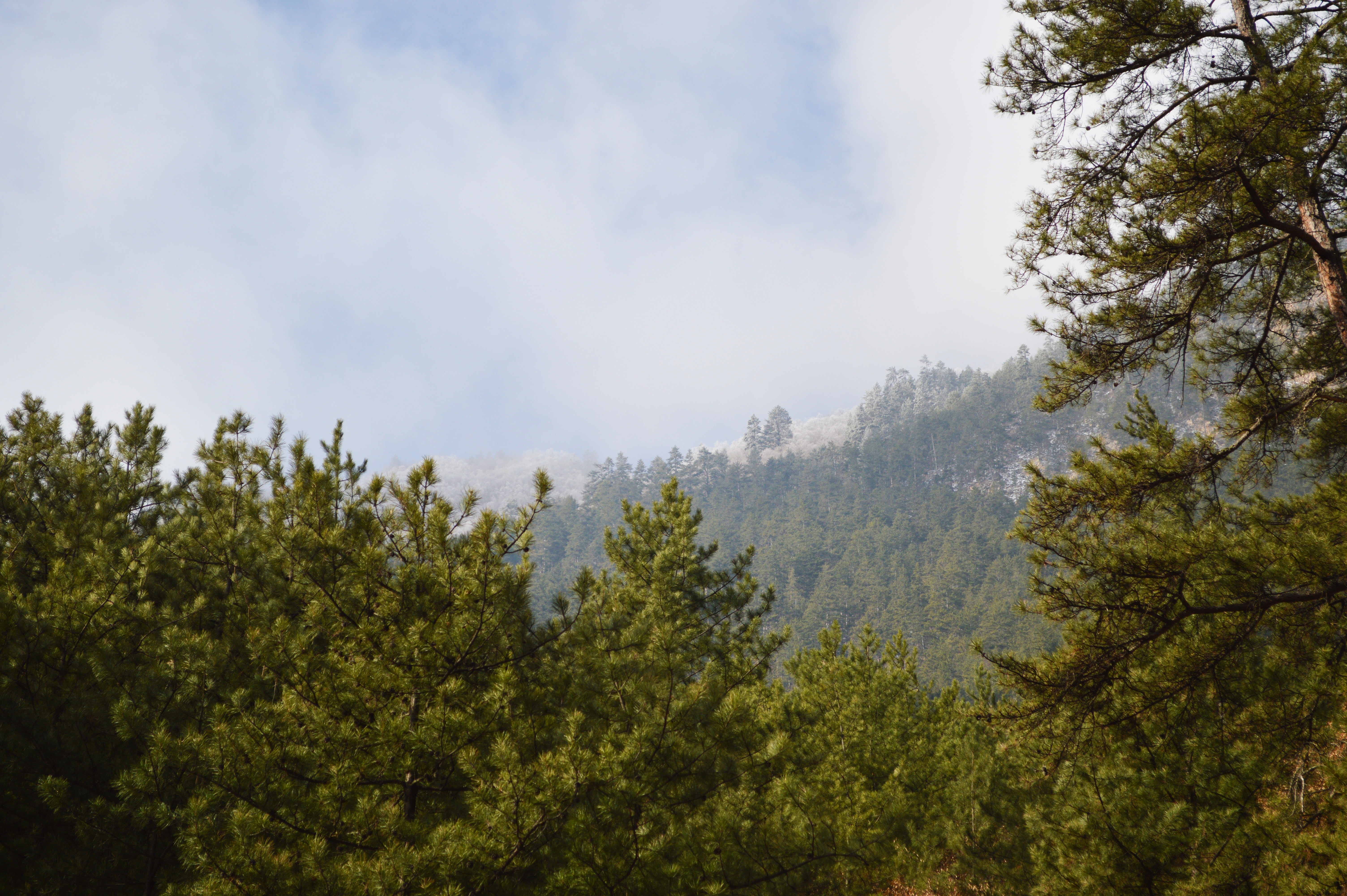 九寨沟震后最美景点开放了吗,九寨沟地震珍贵景点