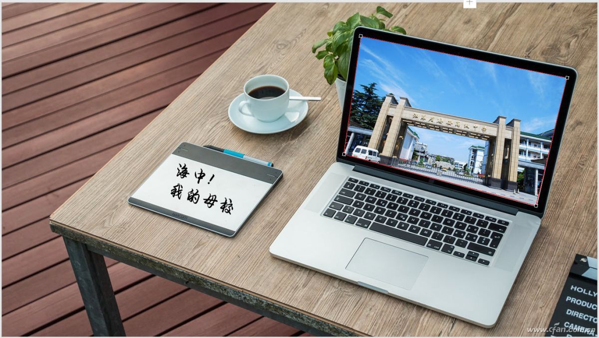 表格多的ppt排版技巧,工作ppt布局排版技巧