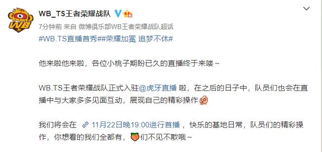 王者荣耀ts都玩哪些英雄,王者荣耀ts战队高光时刻解说