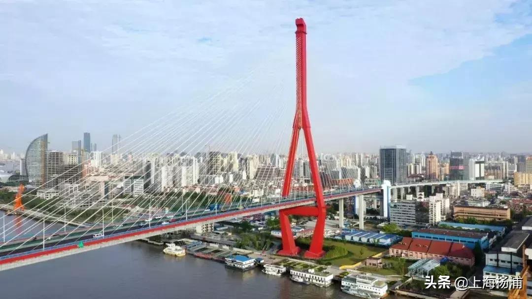 上海杨浦鸟瞰图,俯瞰上海杨浦滨江