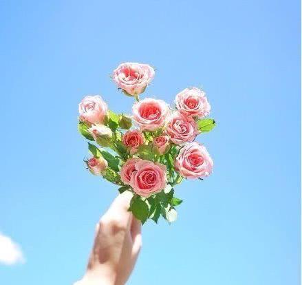 很有深意的阳光励志句子,致不甘平庸的你!