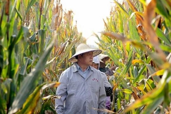 中国最富有的农民：他把玉米种出千亿，自己却不知道上了富豪榜