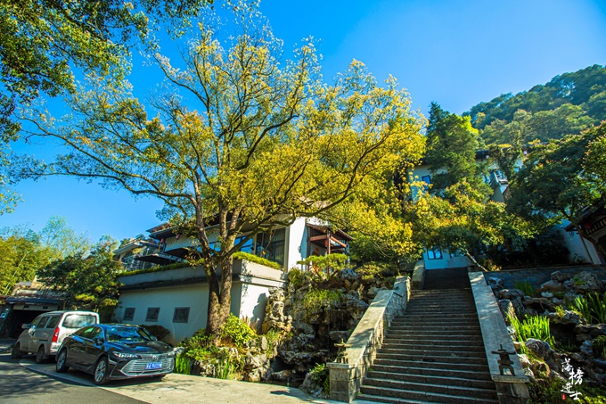 杭州九涧十八溪附近住宿,杭州九溪酒店视频