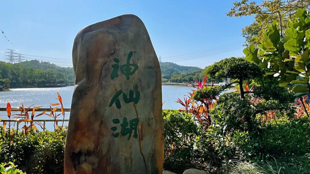 大运绿道跑步路线,大运公园绿道