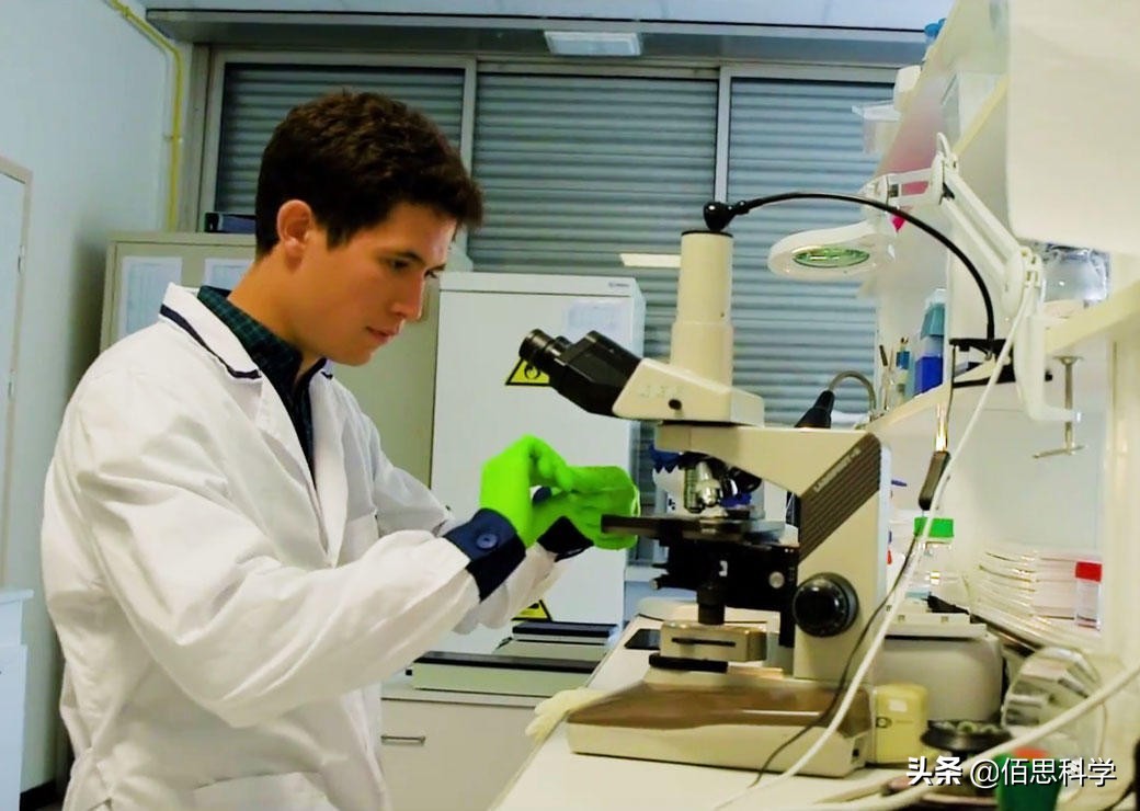 阿兹海默症跟失智症一样吗,阿兹海默病是帕金森吗