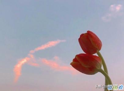 经典霸气短句快手热门说说,最新快手霸气拽一点的句子说说