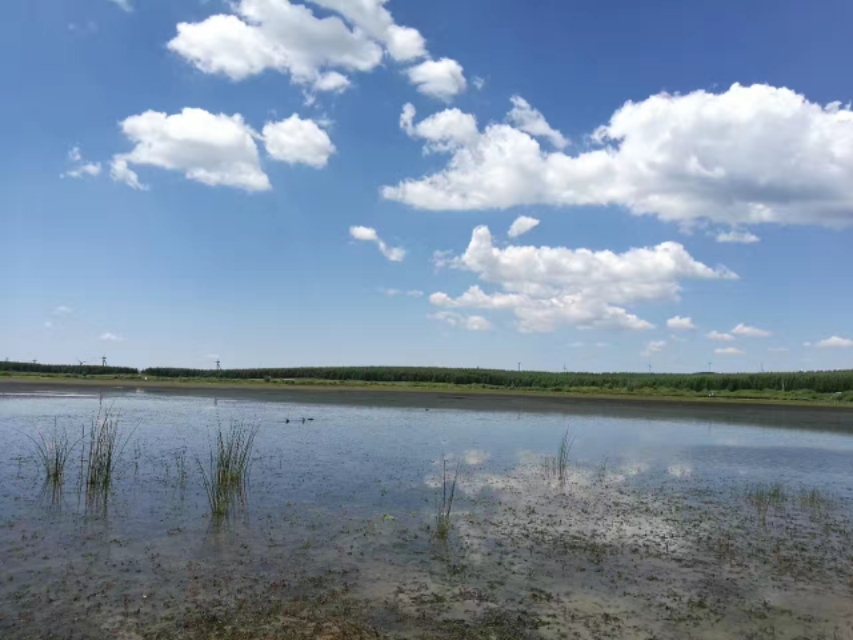 十一去塞罕坝旅游攻略,北京塞罕坝自驾游攻略最新