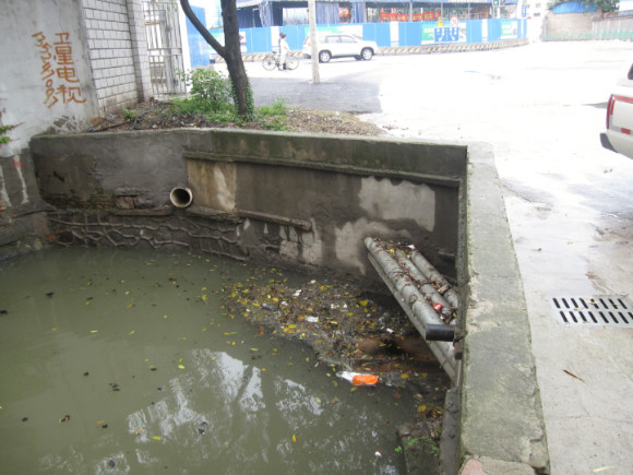 上海的黄浦江有多脏,上海的河道为什么那么臭