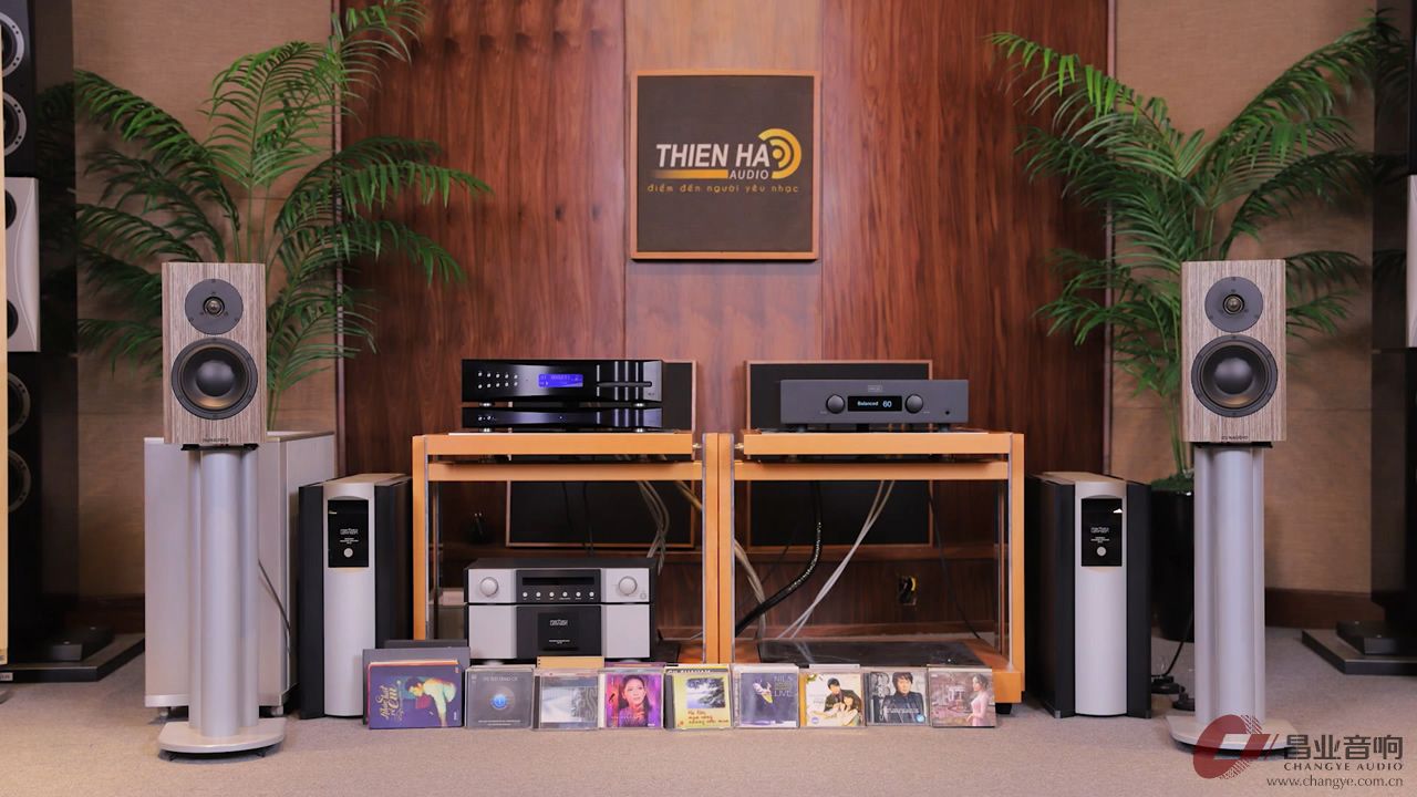 丹拿怎么才能玩好,丹拿玩被动还是主动好