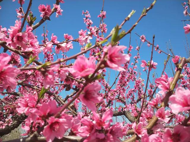 失去六年的缘分,失去一段5年的感情