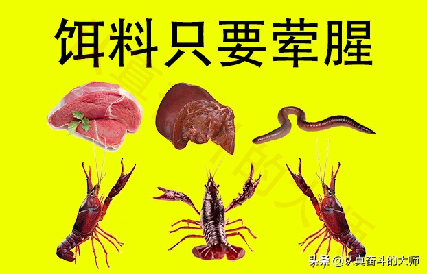 钓小龙虾的方法和技巧,小龙虾的钓法及用法