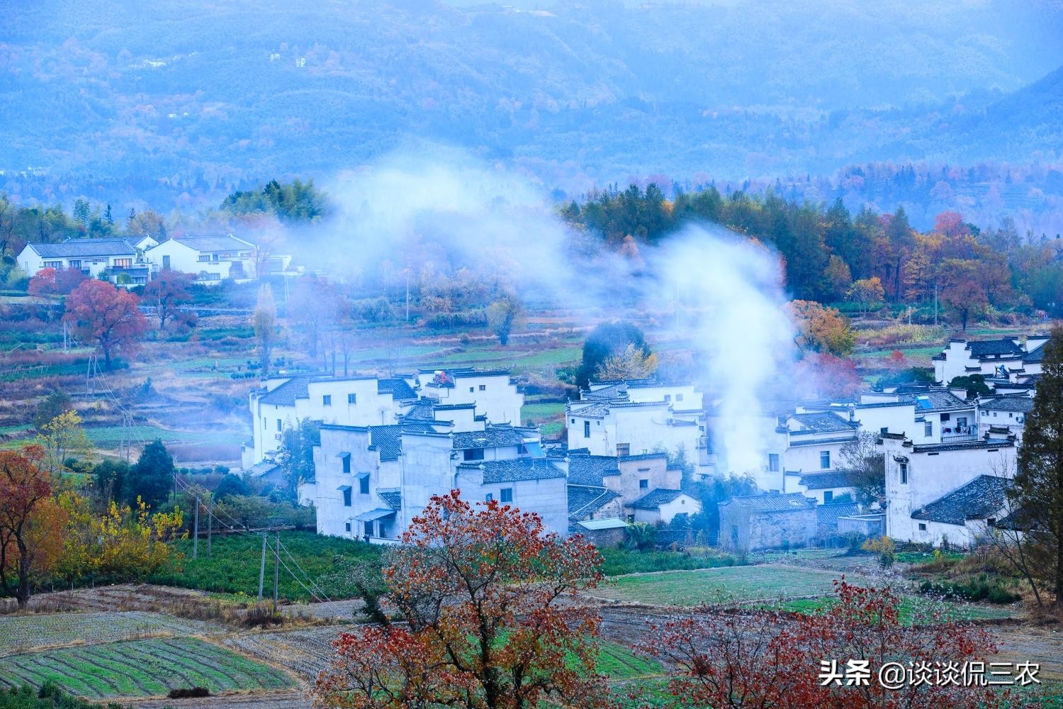 传承几千年的柴火灶，到底要不要禁用？专家建议拆除，农民有话说