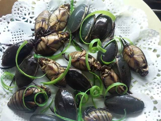 广东人一日三餐美食,广东人的日常美食生吃