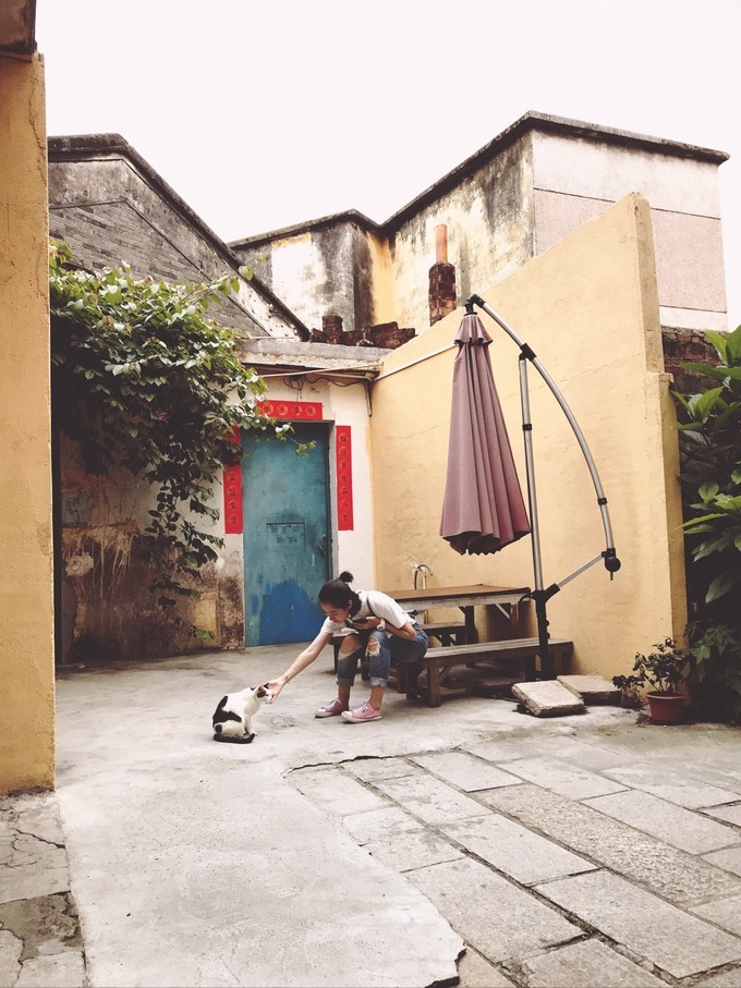 每天3w步的珠海澳门小清明