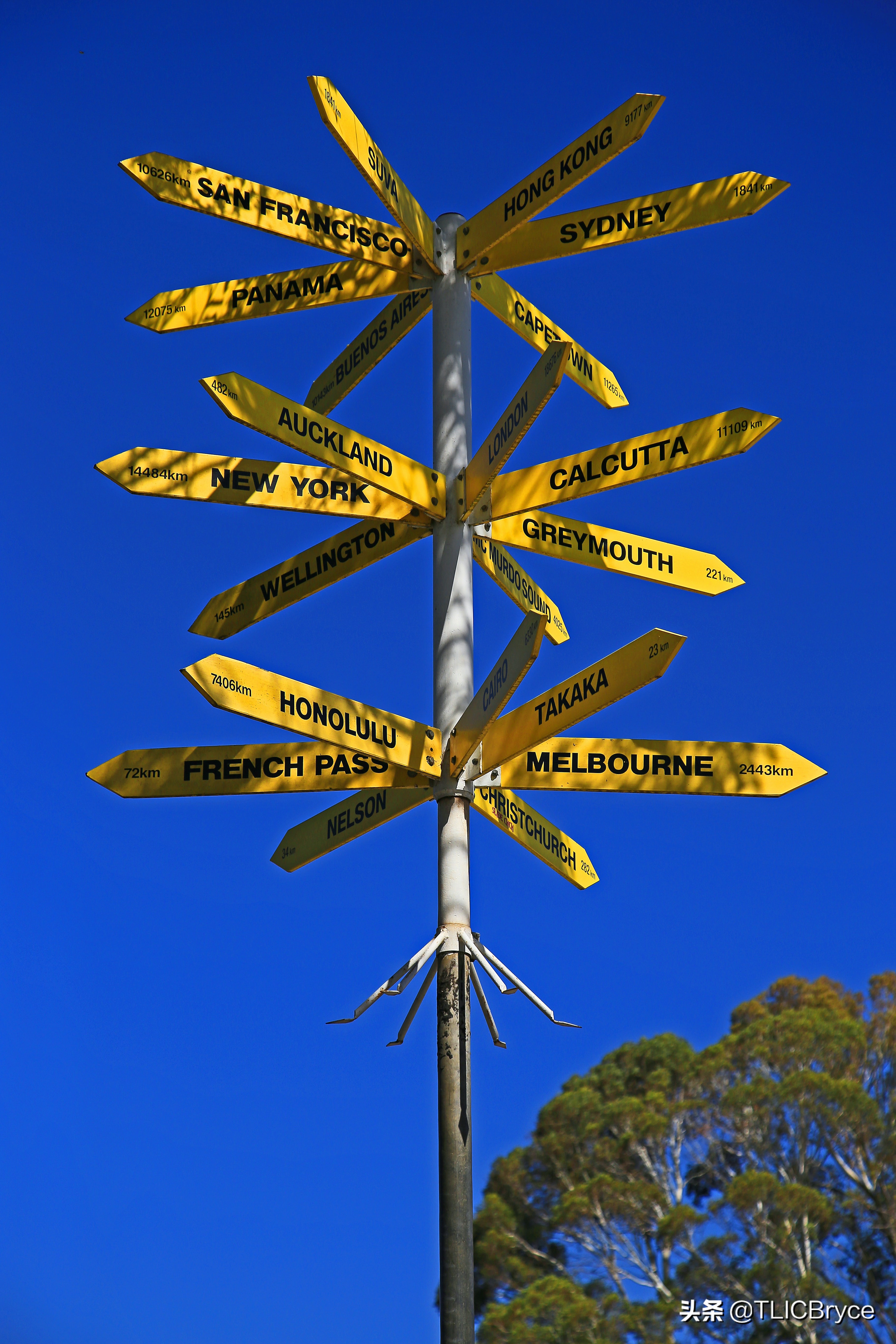 移民中介的软文到底有多*脑洗**:只要是个国家教育质量都比中国好