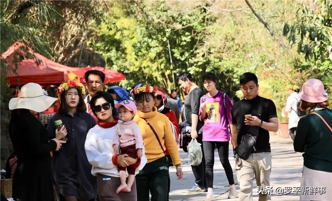 等你！初春九龙瀑布灵动秀美、温婉可亲！