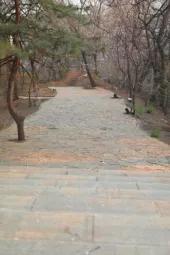 沈阳音乐学院院校代号,辽宁三所高校