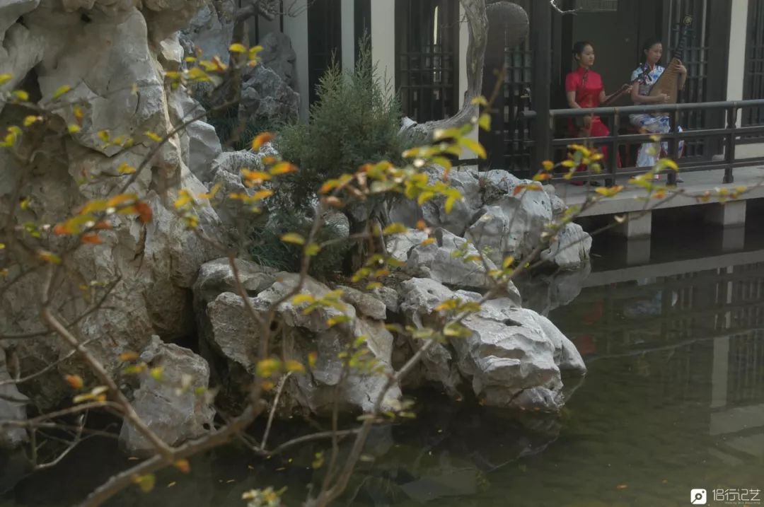 大叔花700万建的花园别墅,太湖石苏州