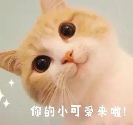 ps小技巧大合集,ps高手都用的十大ps技巧