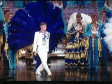 宝冢歌剧团top简介,宝冢歌剧团5位首席