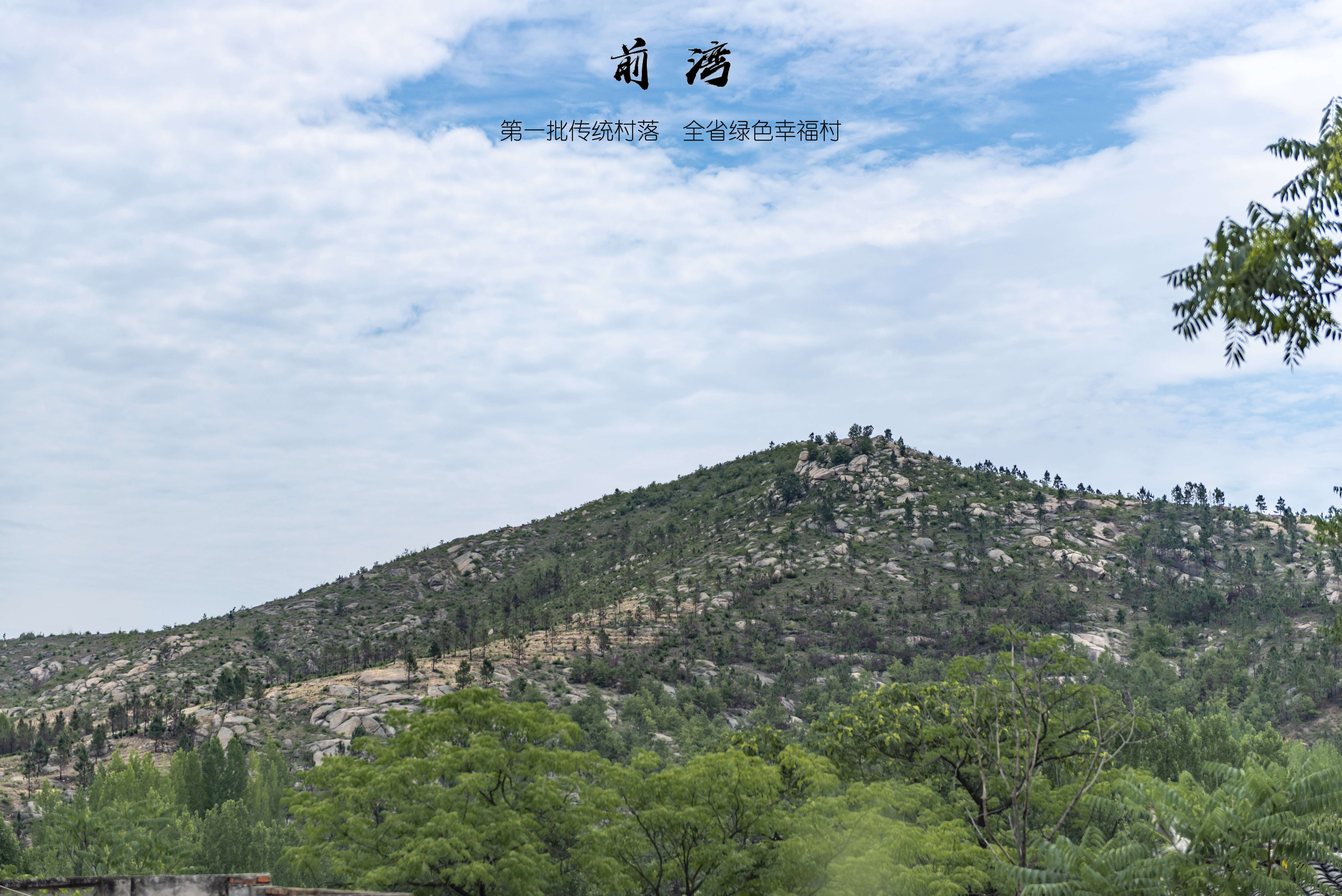 枣阳前湾村,湖北枣阳新市镇隗家前湾