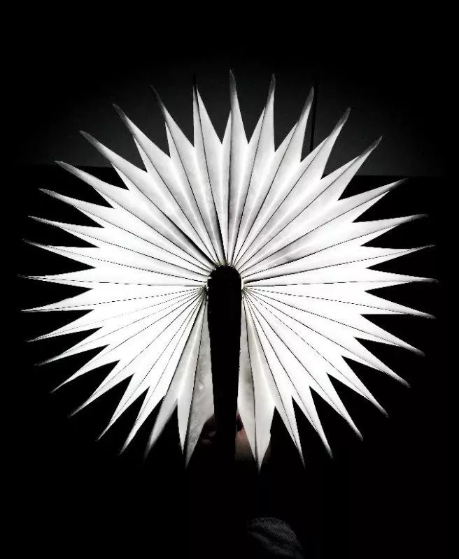 手机摄影拍摄最新热门作品,手机拍摄精彩作品