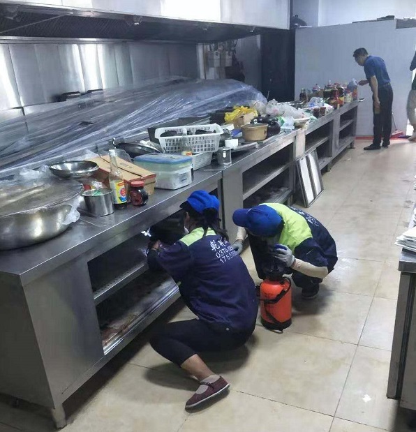 派出所对餐饮业开展卫生检查,检察院卫生整治