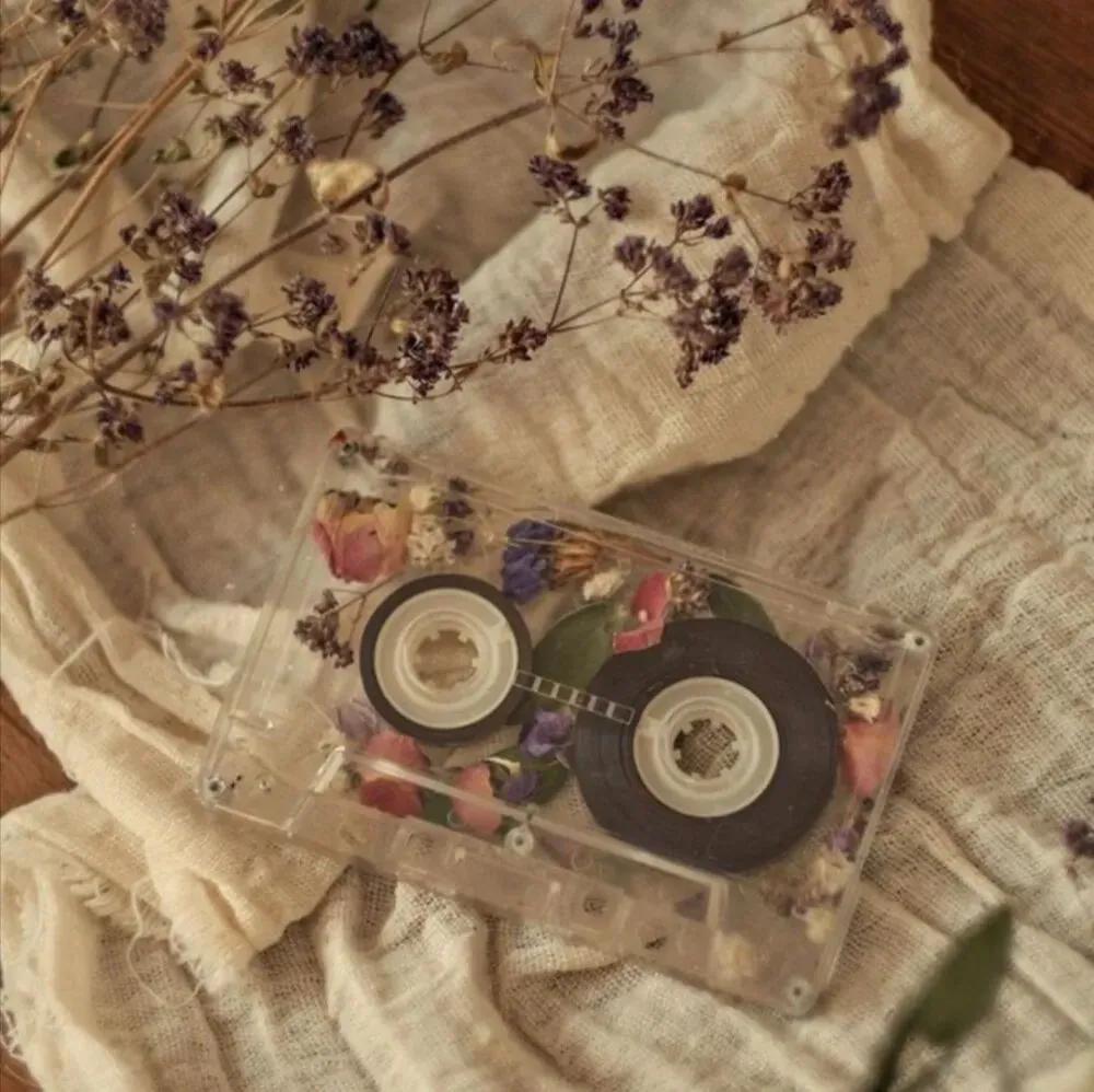 浅色系ins风背景图,浅色系壁纸ins高级质感真人