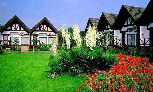 上海玩耍攻略,上海旅游景点交通攻略图