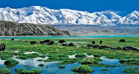 中国地大物博，知道东、南、西、北极在哪里吗？