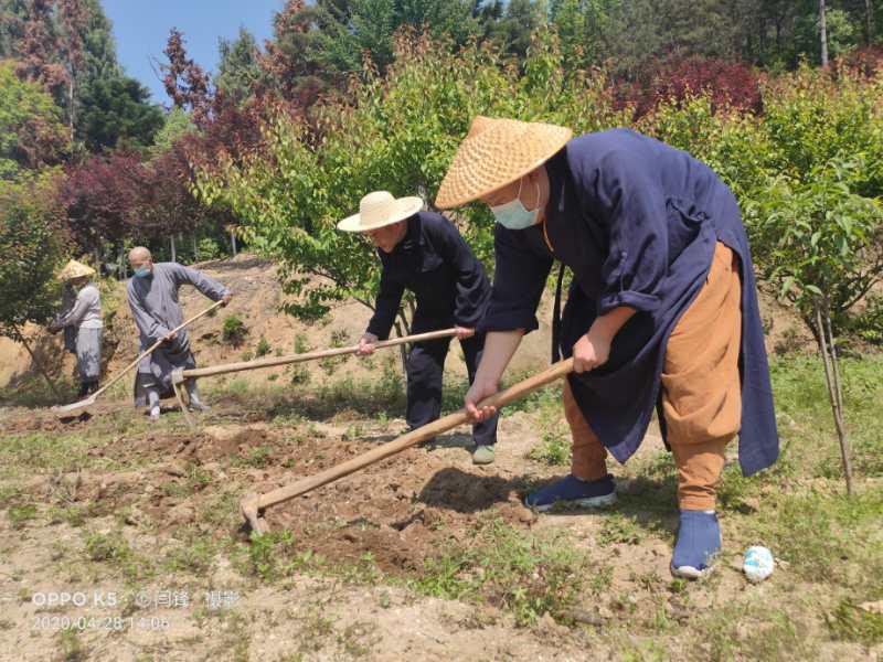 抢抓农时开展农业生产,农民纷纷抢抓春耕生产有利时机