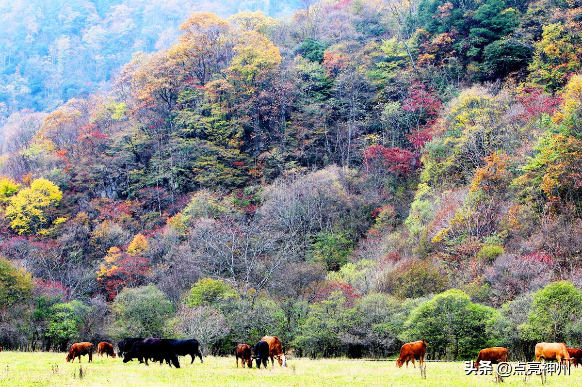 中国各省自治区的最高峰,各省最高峰是哪个省