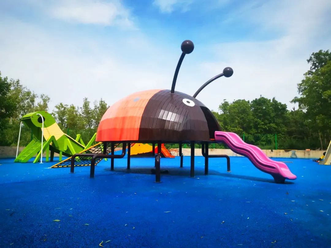 北京青龙湖湿地公园最新消息,北京青龙湖湿地公园现在开放吗