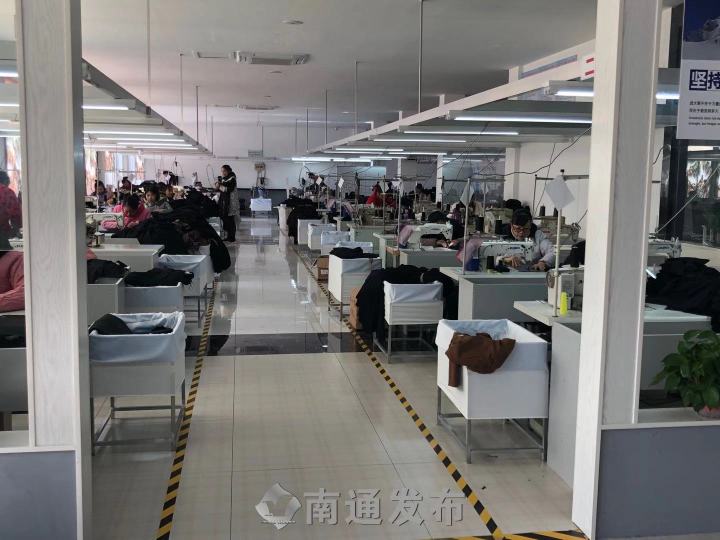 黑塌菜如皋种植,如皋160亩黑塌菜