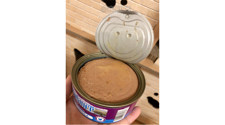 k9幼猫罐头推荐,k9巅峰猫粮