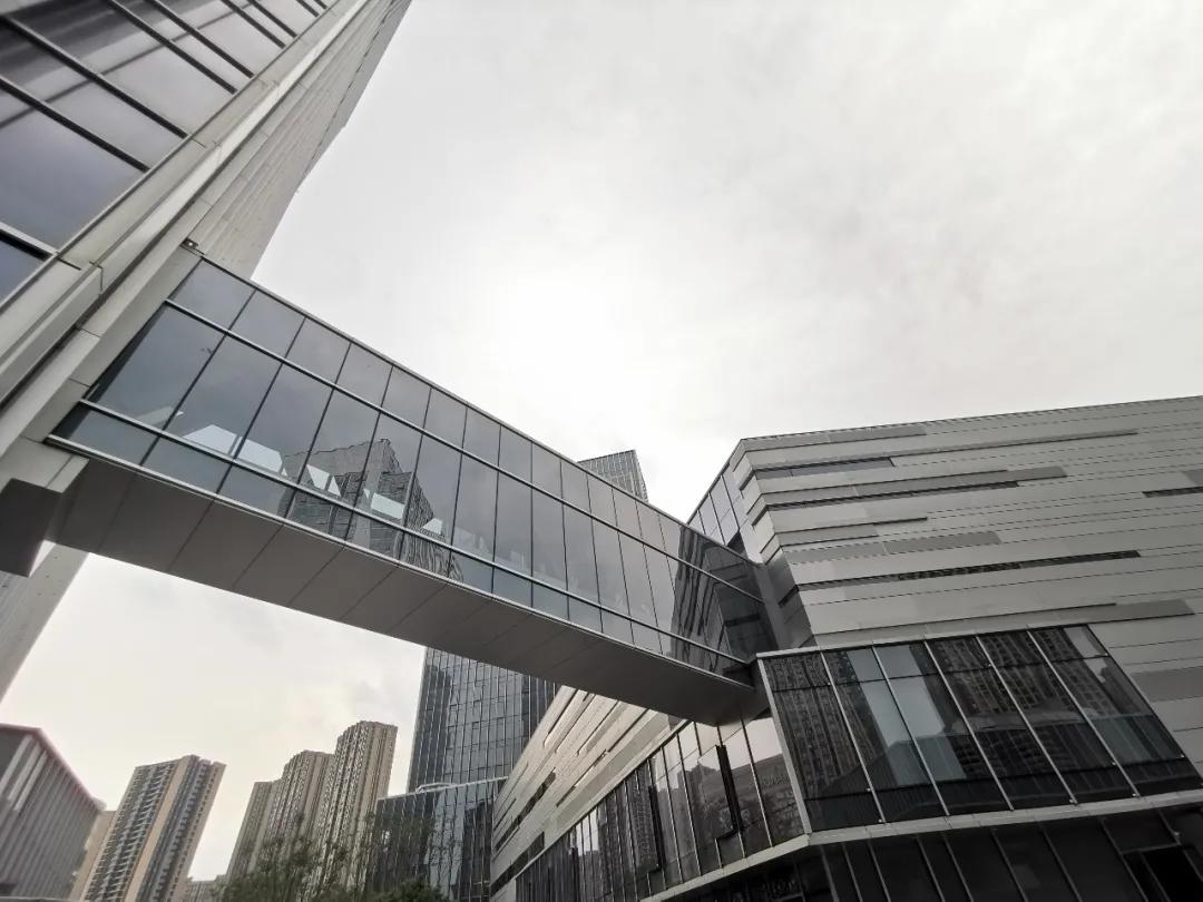 照母山新利好,利好照母山