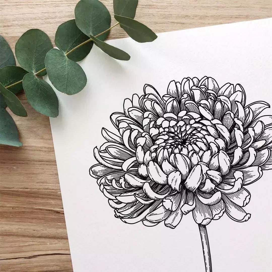 这一波手绘太给力了,绝对让你练完不厉害都难