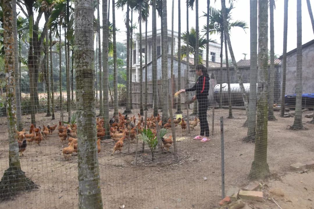 癌症患者申请扶贫政策申请书,一个癌症患者的自愈之路