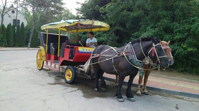 日照文旅,日照旅游攻略