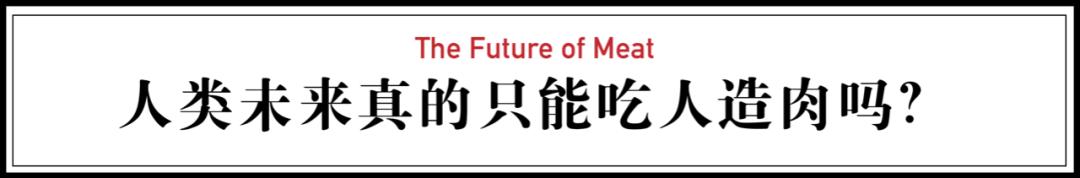 人造肉将来新消息,人造肉热潮来了