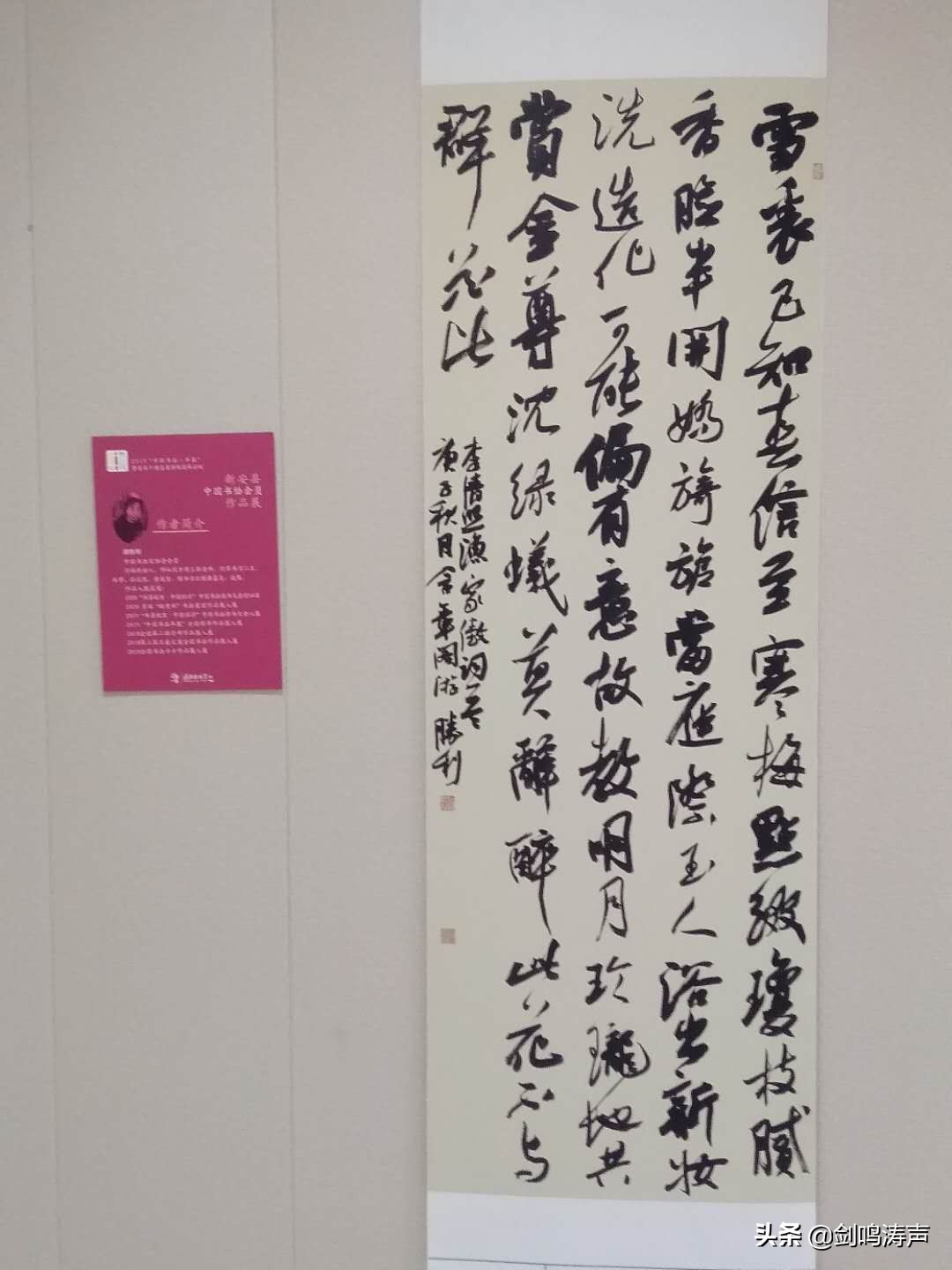 “2019中国书法•年展”之新安县中国书协会员作品展