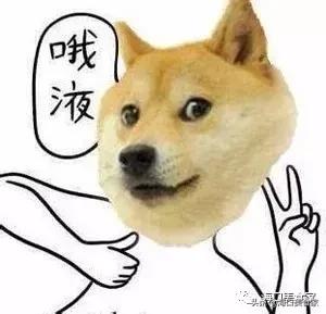 海口日月广场匠子烤鱼,海口友谊阳光城烤鱼店