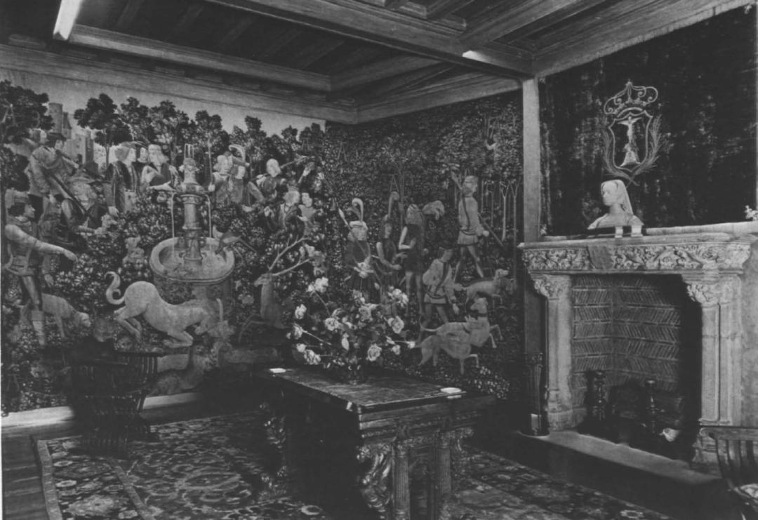 传说中的独角兽是否存在过 (独角兽真实存在的证据)