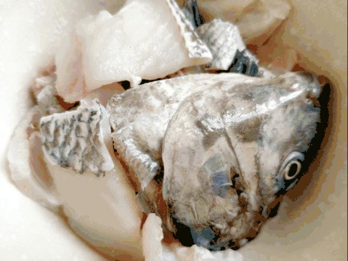 颇具神奇色彩的豆芽，是史上素菜佳品，更是人们对生活的美好期待