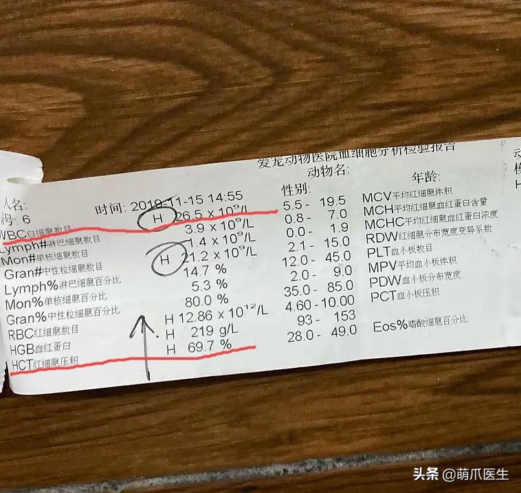 go猫粮吃了会黑下巴吗,go猫粮吃了拉黄水