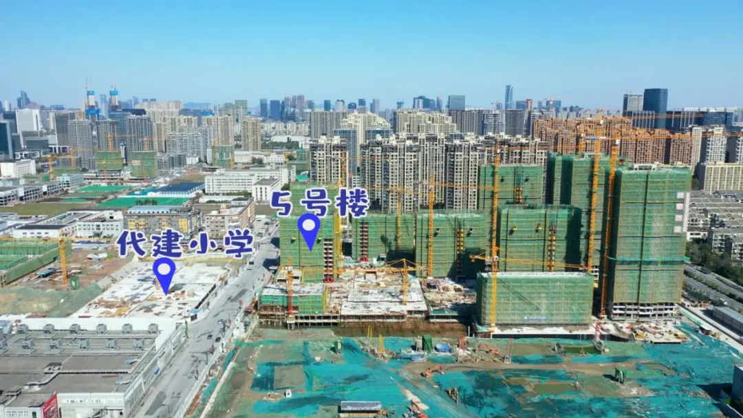 萧山市北西三花争艳未婚女记者翻了谁的牌？丨跑盘Vlog04