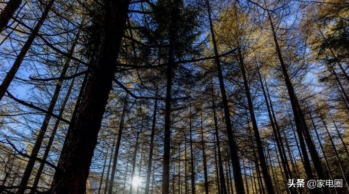 传统家电代理商如何互联网化,小家电代理商模式选择哪些