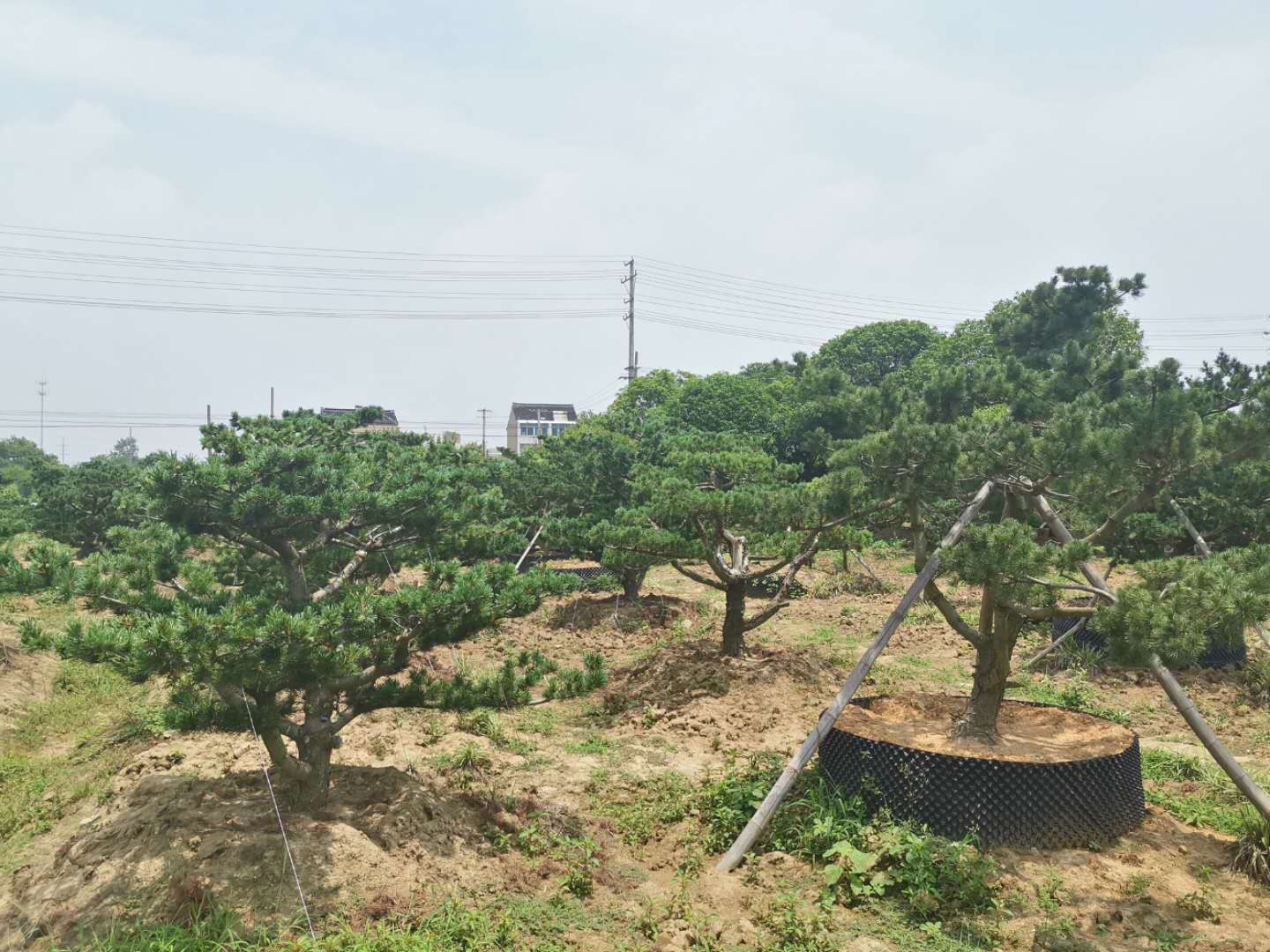 叹为观止自然风景,叹为观止高清图