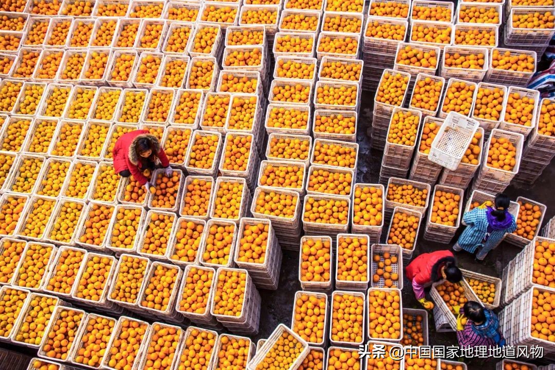 江西vs湖南哪个更能吃辣,江西和湖南pk辣椒